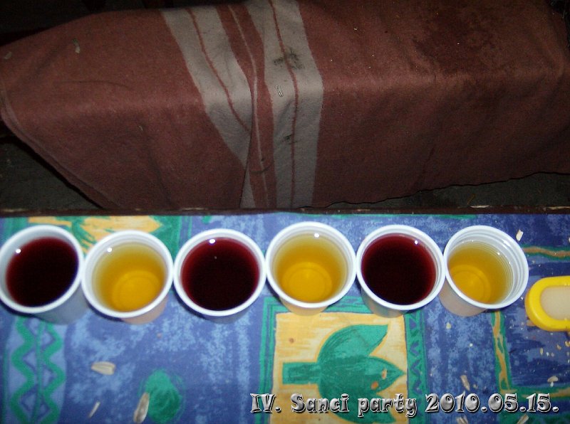 IV. SanciParty 231.jpg